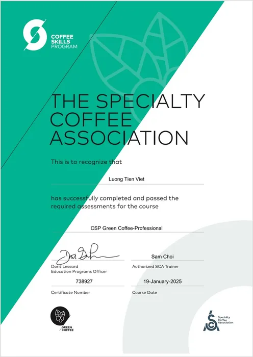 CSP Green Coffee – Professional